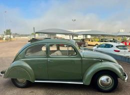 Volkswagen Coccinelle Ovale