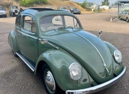 Volkswagen Coccinelle Ovale