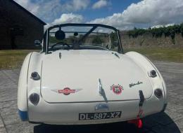 Austin Healey 100  /4 BN2