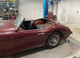 Austin Healey 100 - 6 BN4