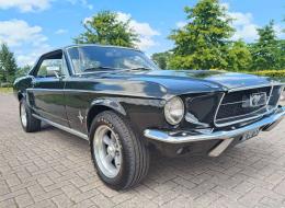 Ford Mustang V8