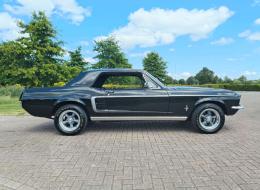 Ford Mustang V8