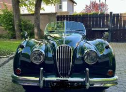 Jaguar Série - XK 140 Roadster
