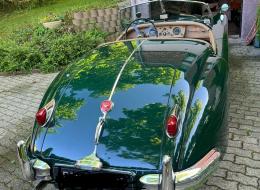 Jaguar Série - XK 140 Roadster