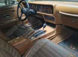 Pontiac Firebird V8 350