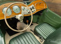 MG TD