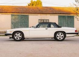 Jaguar XJS - C 3.6
