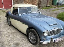 Austin Healey 100 - 6 BN4