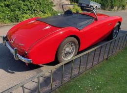 Austin Healey 100 / 4 BN1