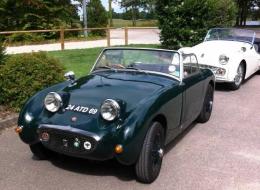 Austin Healey Sprite Frogeye