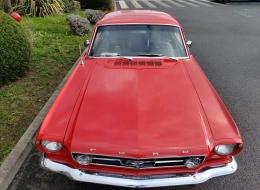 Ford Mustang V8 Coupé Options GT