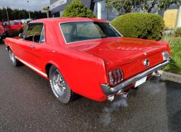 Ford Mustang V8 Coupé Options GT