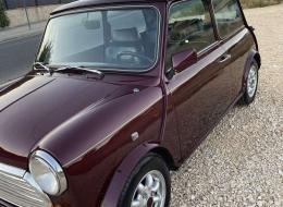 Mini 1000