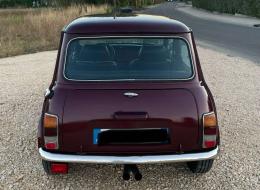 Mini 1000