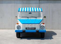 Volkswagen 181 Thing