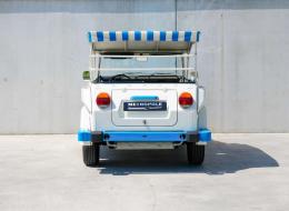 Volkswagen 181 Thing