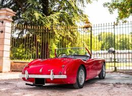 Austin Healey 100 / 4 BN1
