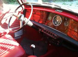 Mini 1000 Woody 1000 SW