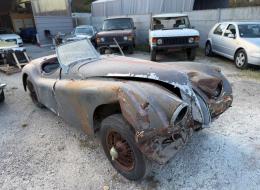 Jaguar Série - XK 120 ROADSTER