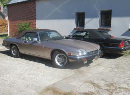 Jaguar XJS V12