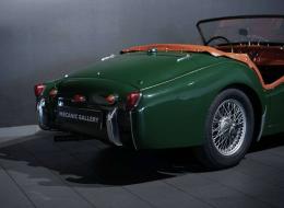 Triumph TR3 « Petite Bouche »