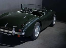 Austin Healey 100 / 4 BN2