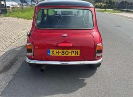 Mini 1000 Austin