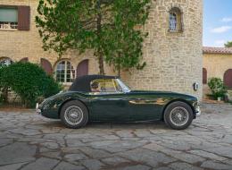 Austin Healey 3000 Mark III BJ8