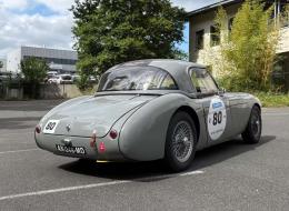 Austin Healey 100 / M BN1 FIA