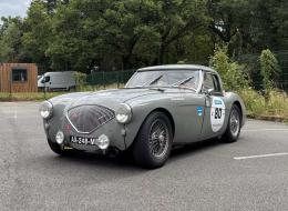 Austin Healey 100 / M BN1 FIA