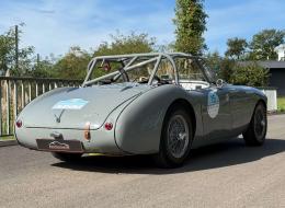 Austin Healey 100 / M BN1 FIA