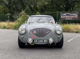 Austin Healey 100 / M BN1 FIA