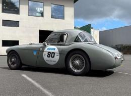 Austin Healey 100 / M BN1 FIA