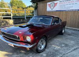 Ford Mustang FASTBACK SHELBY GT350 TRIBUTE
