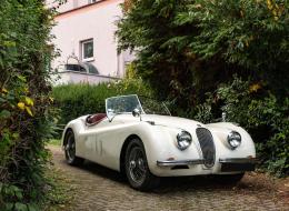 Jaguar Série - XK 120 OTS