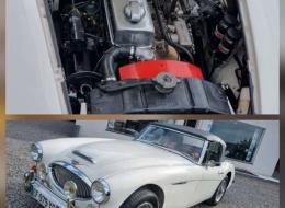Austin Healey 3000 BJ8 restaurée