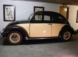 Volkswagen Coccinelle Splint Windows