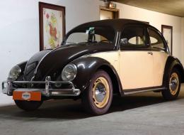 Volkswagen Coccinelle Splint Windows