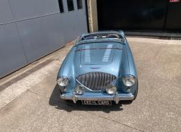 Austin Healey 100 /4 BN1 kit 