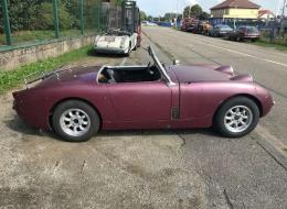 Austin Healey Sprite Frogeye