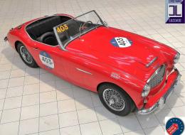 Austin Healey 100 -6