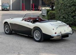 Austin Healey 100 /6 BN6