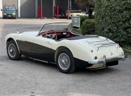 Austin Healey 100 /6 BN6