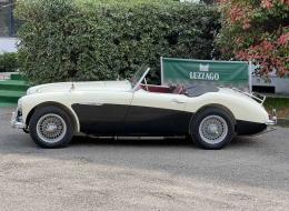 Austin Healey 100 /6 BN6