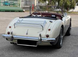 Austin Healey 100 /6 BN6