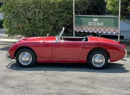 Austin Healey Sprite Frogeye MKI