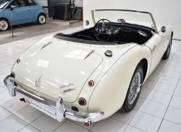 Austin Healey 3000 MK1 BT 7