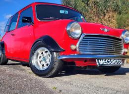 Mini 1000