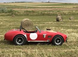 AC Cobra SR V8 Supercharged 385 ch.