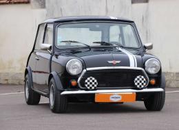 Mini 1000